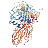 EPOR (Truncating Mutation)
